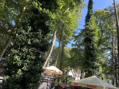 CESARSKIE OGRODY - KAISERS GARTEN, - Swinemünde / Świnoujście, Świnoujście