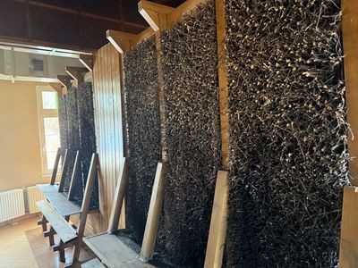 KURHAUS - DOM ZDROJOWY, Bad Flinsberg - Kur, Świeradów Zdrój